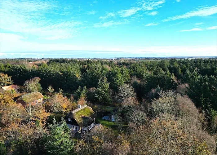 Dom wakacyjny 10205-ulfborg-baekbyvej-131 *