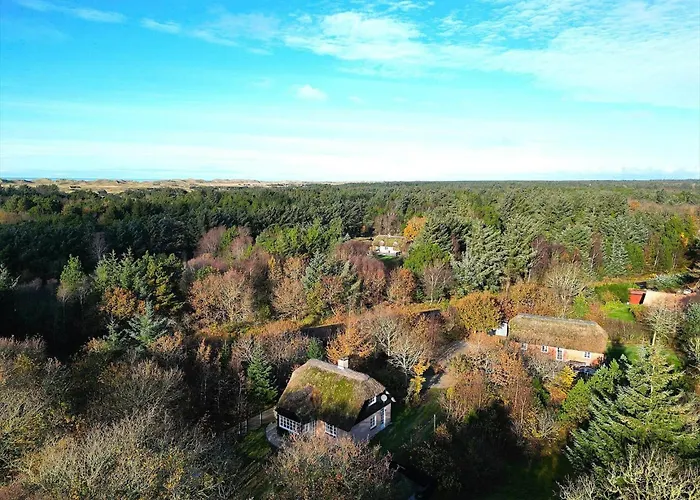 Dom wakacyjny 10205-ulfborg-baekbyvej-131 *